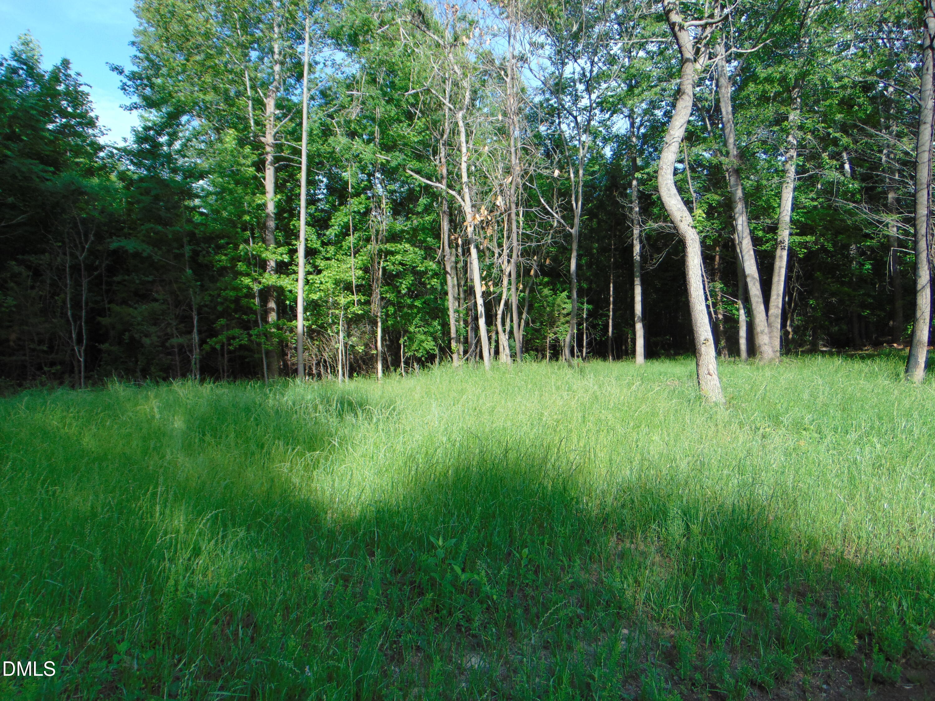 0 Walters Mill Road Providence, NC 27315 - Photo 8 of 22 DSC01565