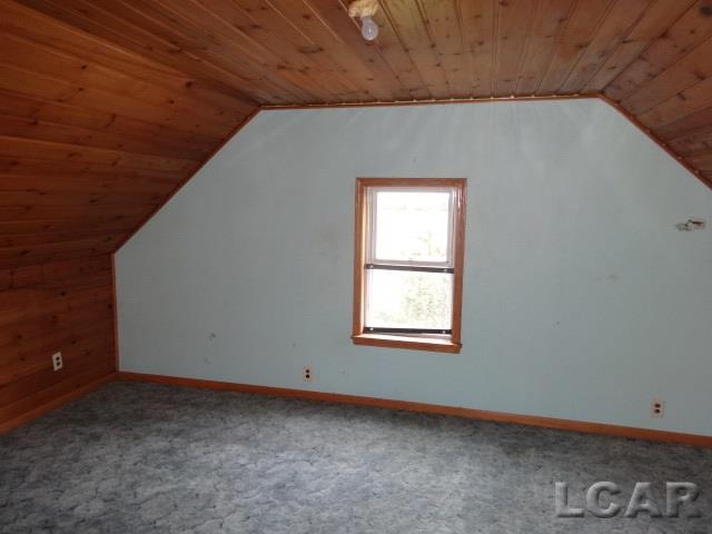 13180 Neblo Road Clinton, MI 49236 - Photo 21 of 31