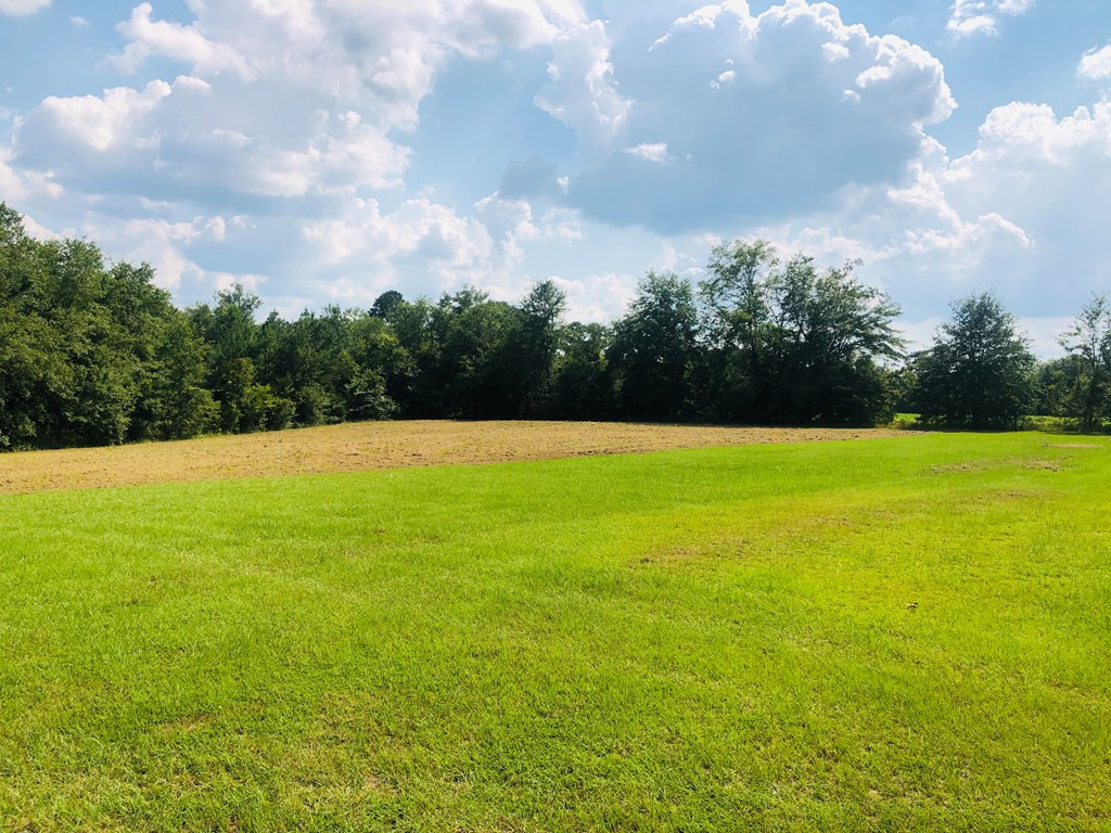 87 Fulmer Road Aiken, SC 29805 - Photo 2 of 23