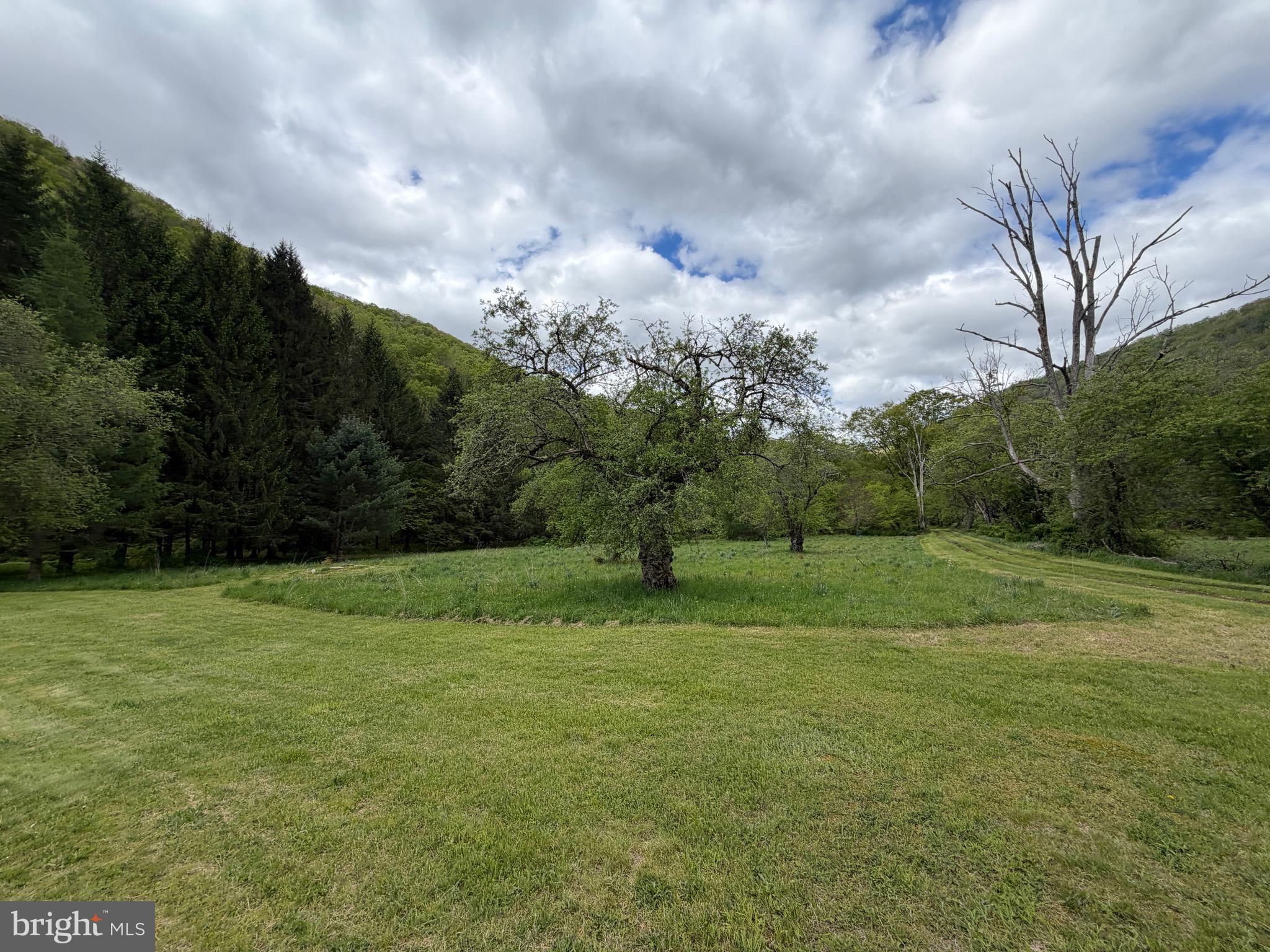 1227 Cross Fork Creek Road Cross Fork, PA 17729 - Photo 47 of 139