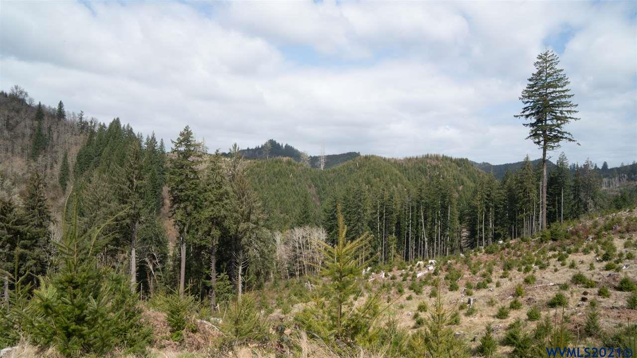 R287435 R287435 Toledo, OR 97391 - Photo 12 of 38 Gallery Image 12