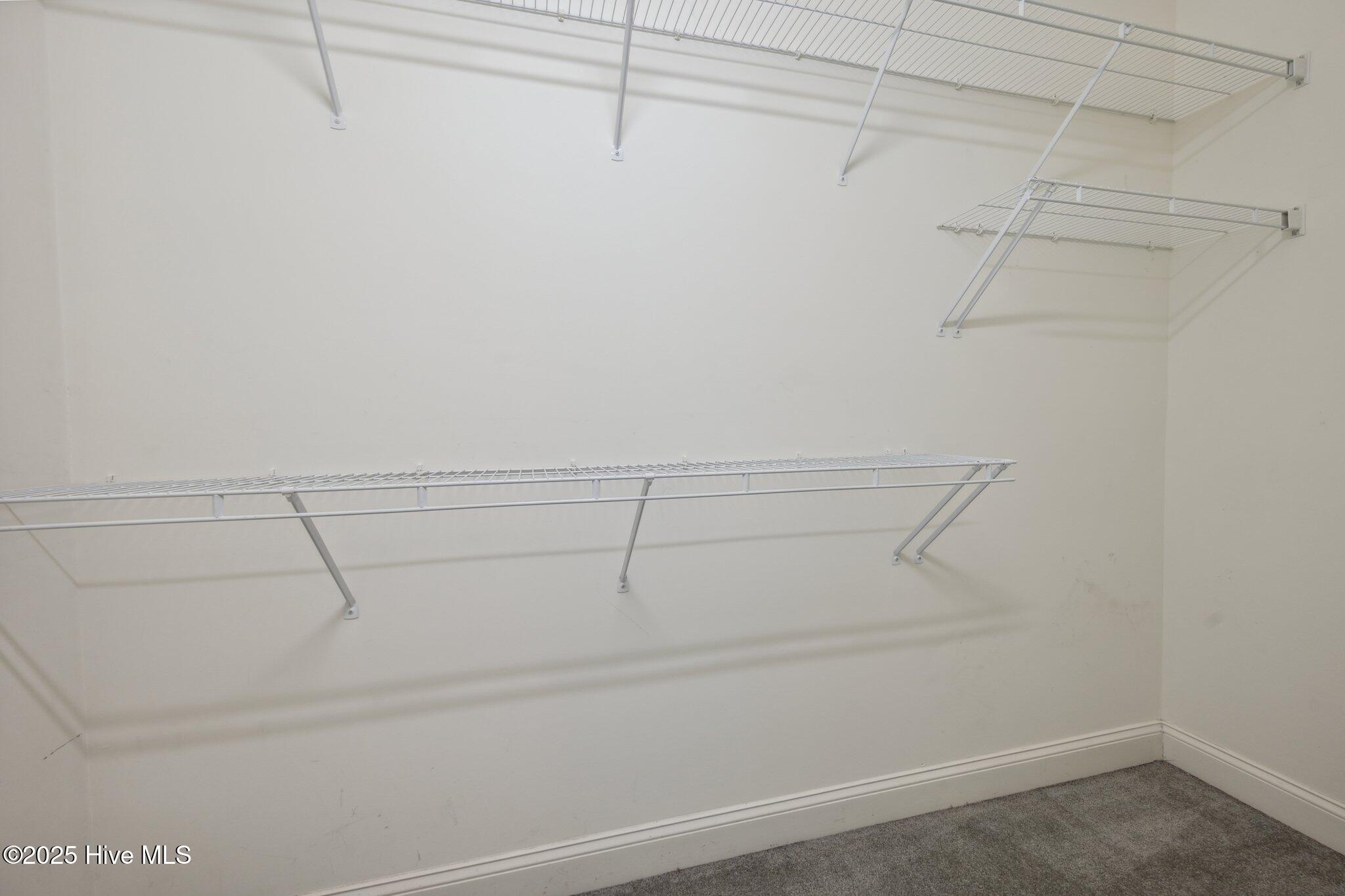 5147 Exton Park Loop Castle Hayne, NC 28429 - Photo 16 of 27 Walk-in Closet