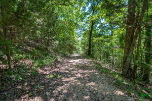 527 Notch Lane, Unit 10 Reeds Spring, MO 65737 - Photo 38 of 45 thumbnail-a6d53300-51d2-477d-a7db-ba9bfa
