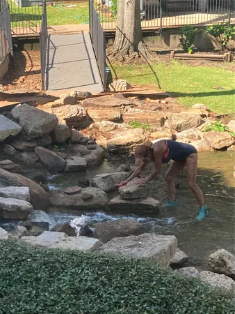 a view of a yard with a mountain
