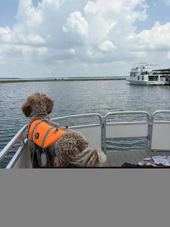 a view of swimming pool with furniture
