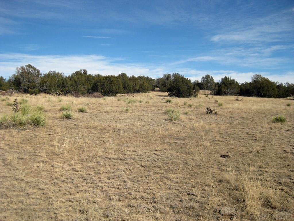 Lot 100 Narrow Gauge Way Rye, CO 81069 - Photo 24 of 42 Gallery Image 24