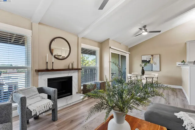 a living room with furniture a fireplace and a potted plant
