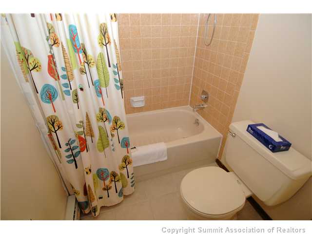 325 Four Oclock Road, Unit A304 Breckenridge, CO 80424 - Photo 20 of 25 Bathroom. Full bathroom