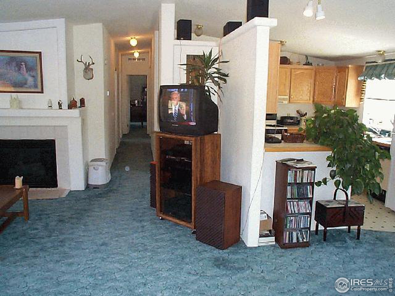Gallery Image 6