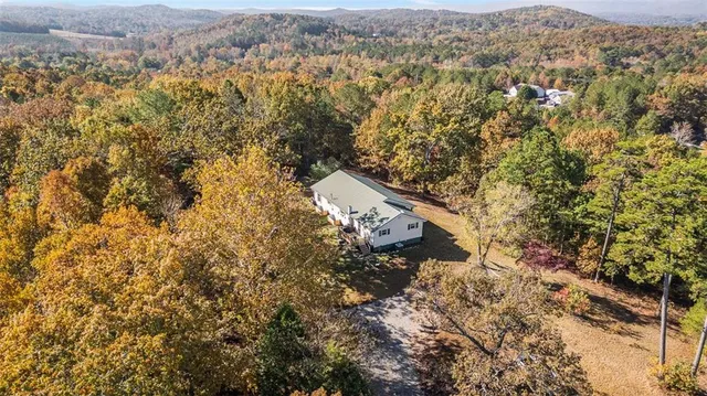 a view of a yard with a tree