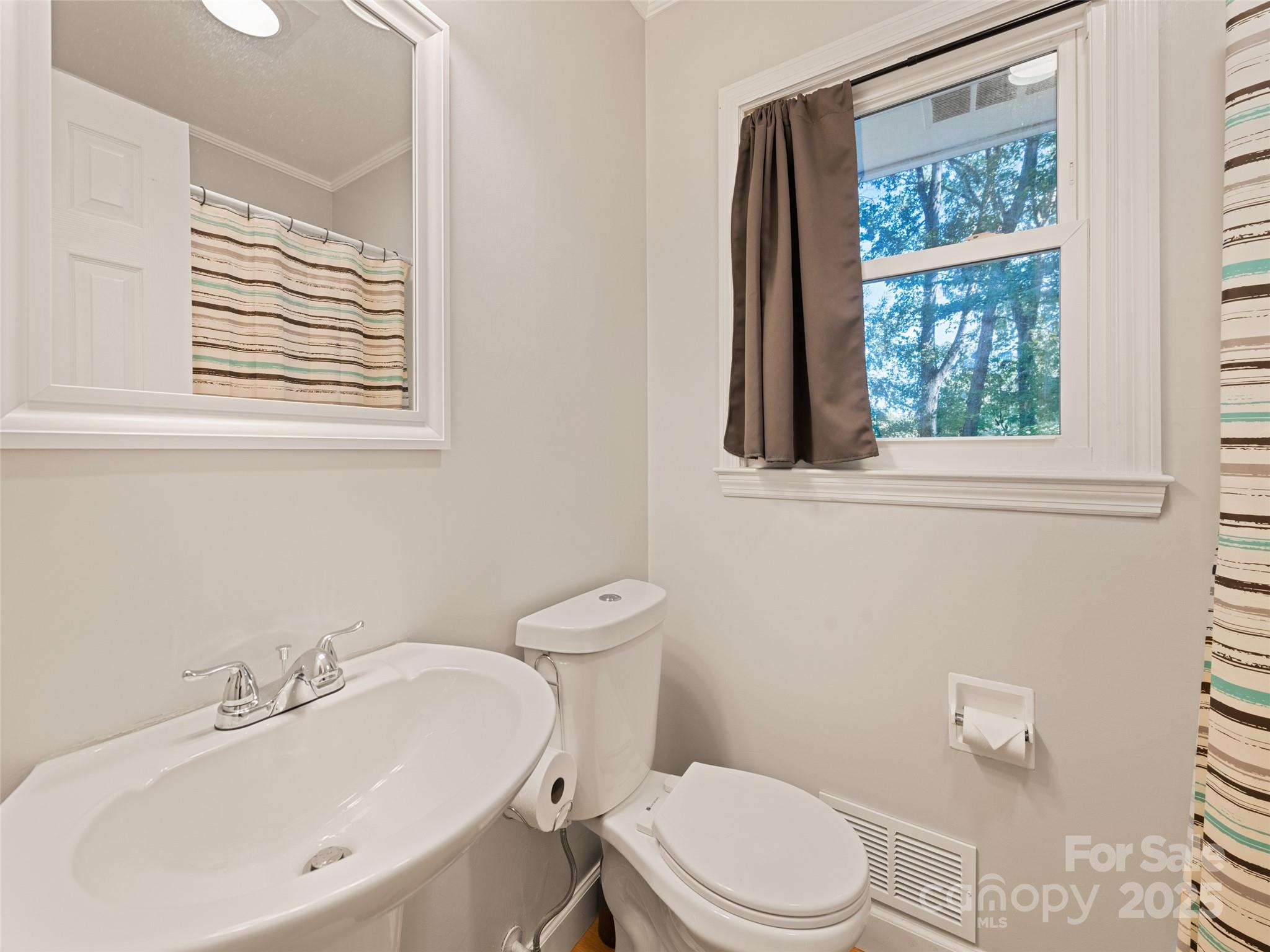 263 Blanton Street Columbus, NC 28722 - Photo 24 of 45 a bathroom with a sink a toilet and a window