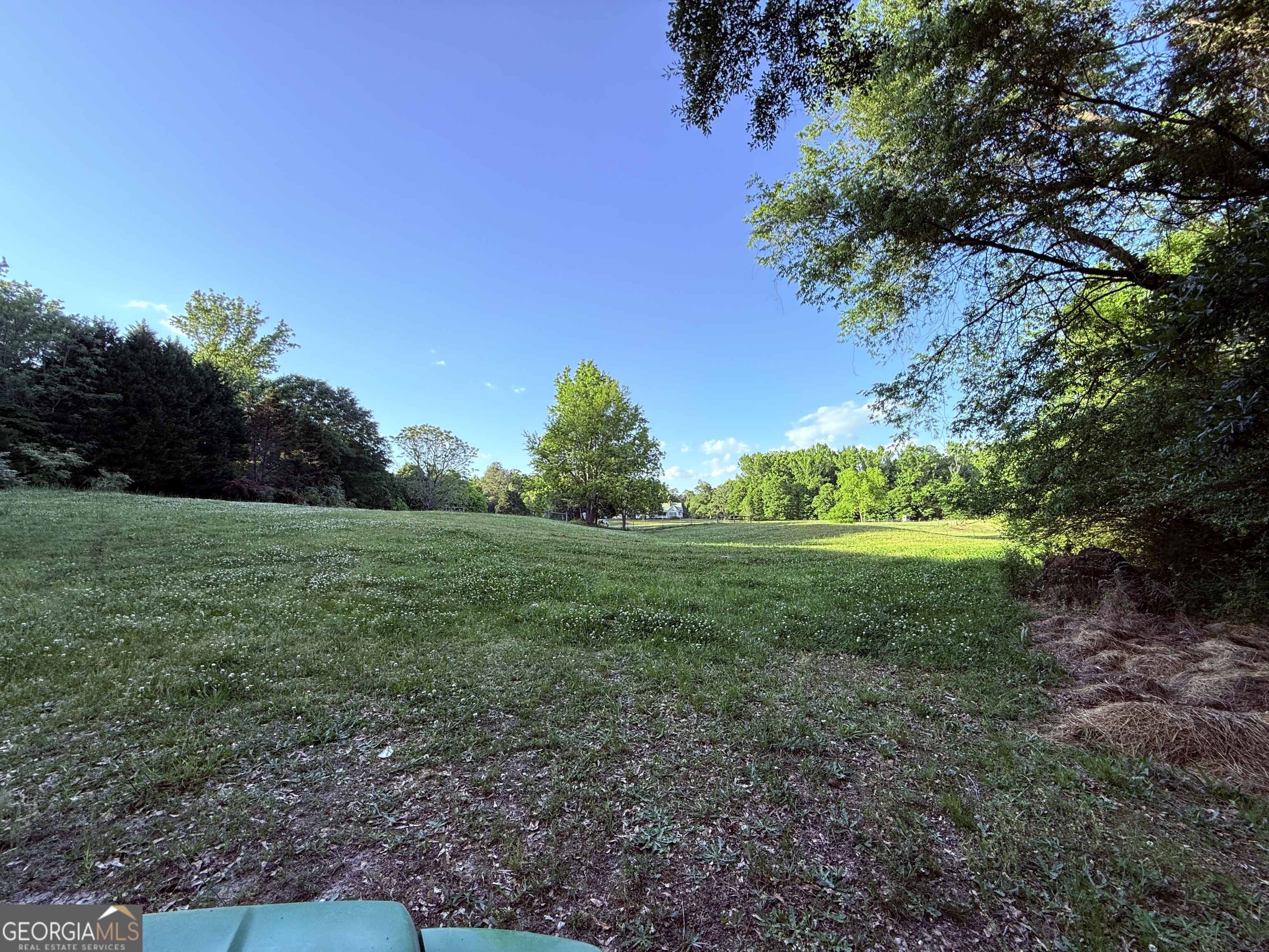 340 Adolphus-Callaway Road Washington, GA 30673 - Photo 7 of 13