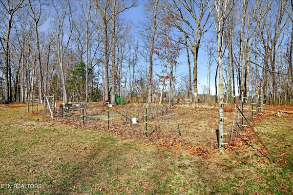 a view of yard with tree