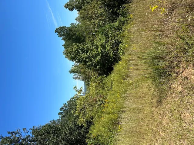 $39,900 | 24 My Easy Street, Murphy, NC 28906