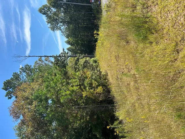 $39,900 | 24 My Easy Street, Murphy, NC 28906