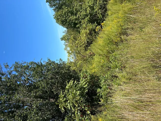 $39,900 | 24 My Easy Street, Murphy, NC 28906