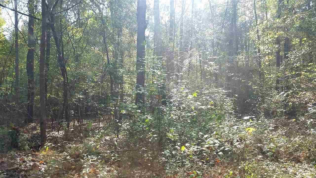 1196 Shiloh Road, Unit 7 Brandon, MS 39042 - Photo 11 of 15 Photo 11