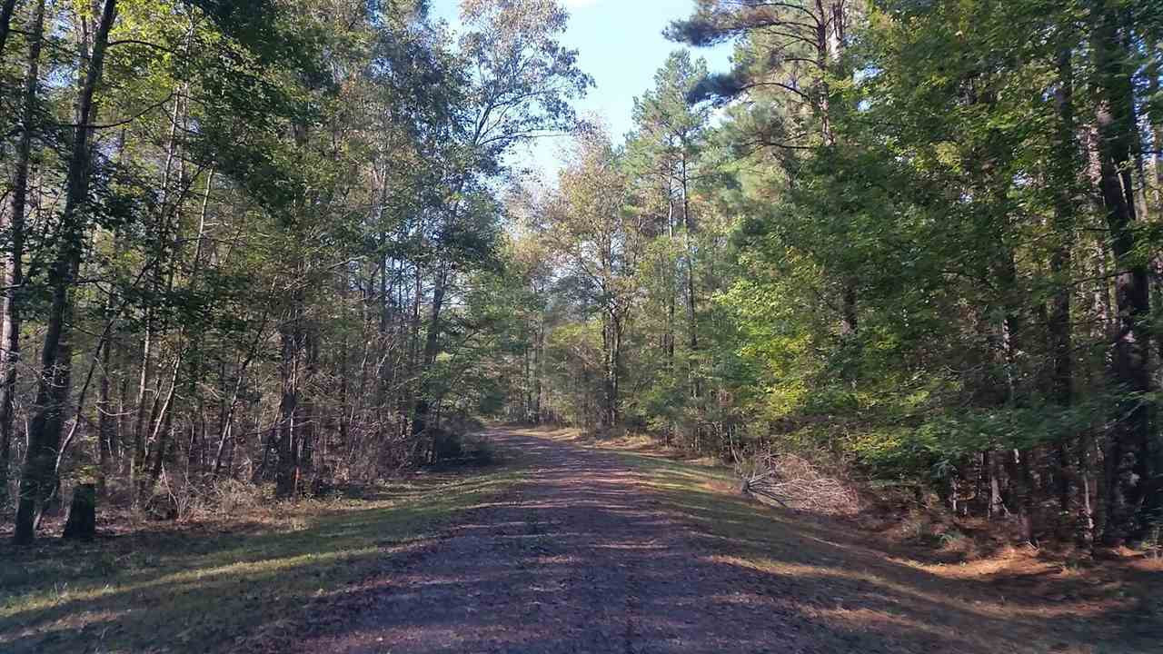 1196 Shiloh Road, Unit 7 Brandon, MS 39042 - Photo 12 of 15 Photo 12