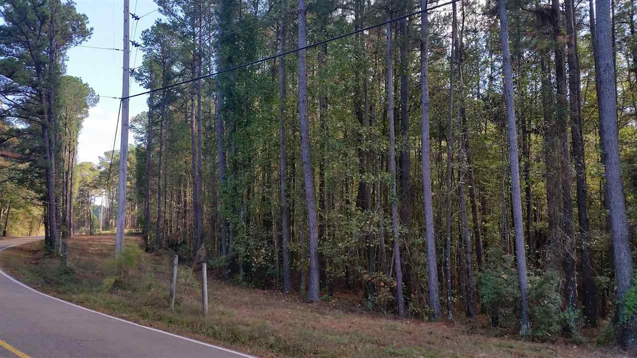 1196 Shiloh Road, Unit 7 Brandon, MS 39042 - Photo 13 of 15 Photo 13
