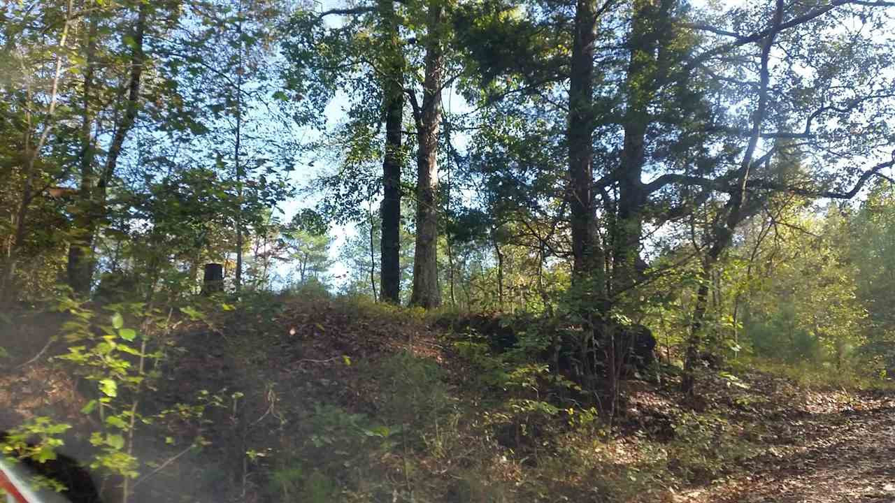 1196 Shiloh Road, Unit 7 Brandon, MS 39042 - Photo 14 of 15 Photo 14