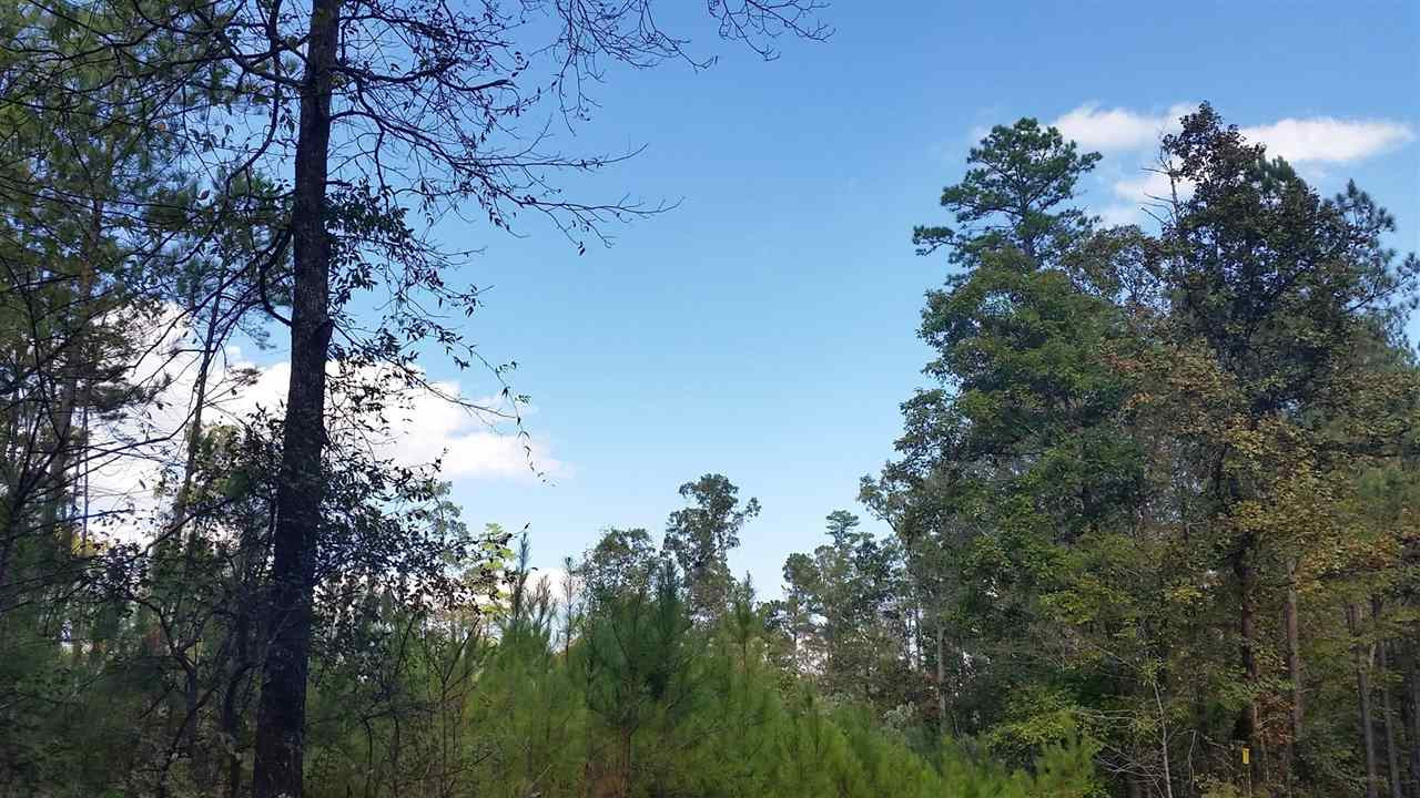 1196 Shiloh Road, Unit 7 Brandon, MS 39042 - Photo 4 of 15 Photo 4