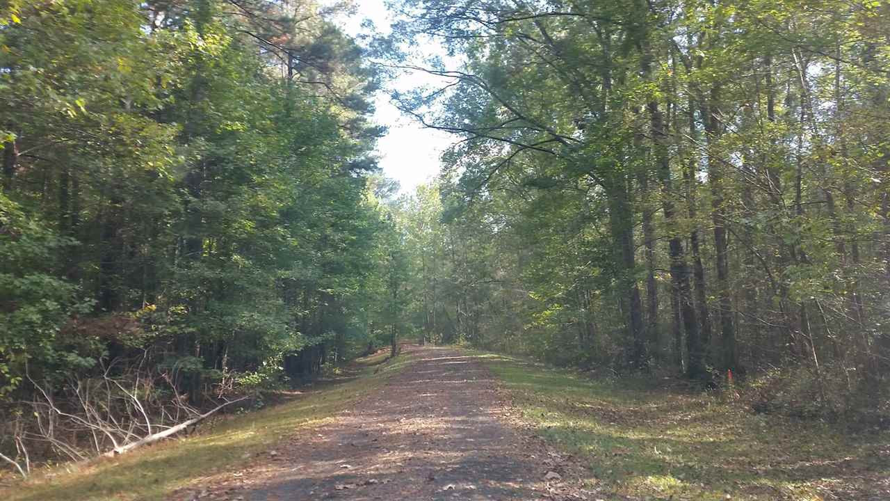 1196 Shiloh Road, Unit 7 Brandon, MS 39042 - Photo 5 of 15 Photo 5