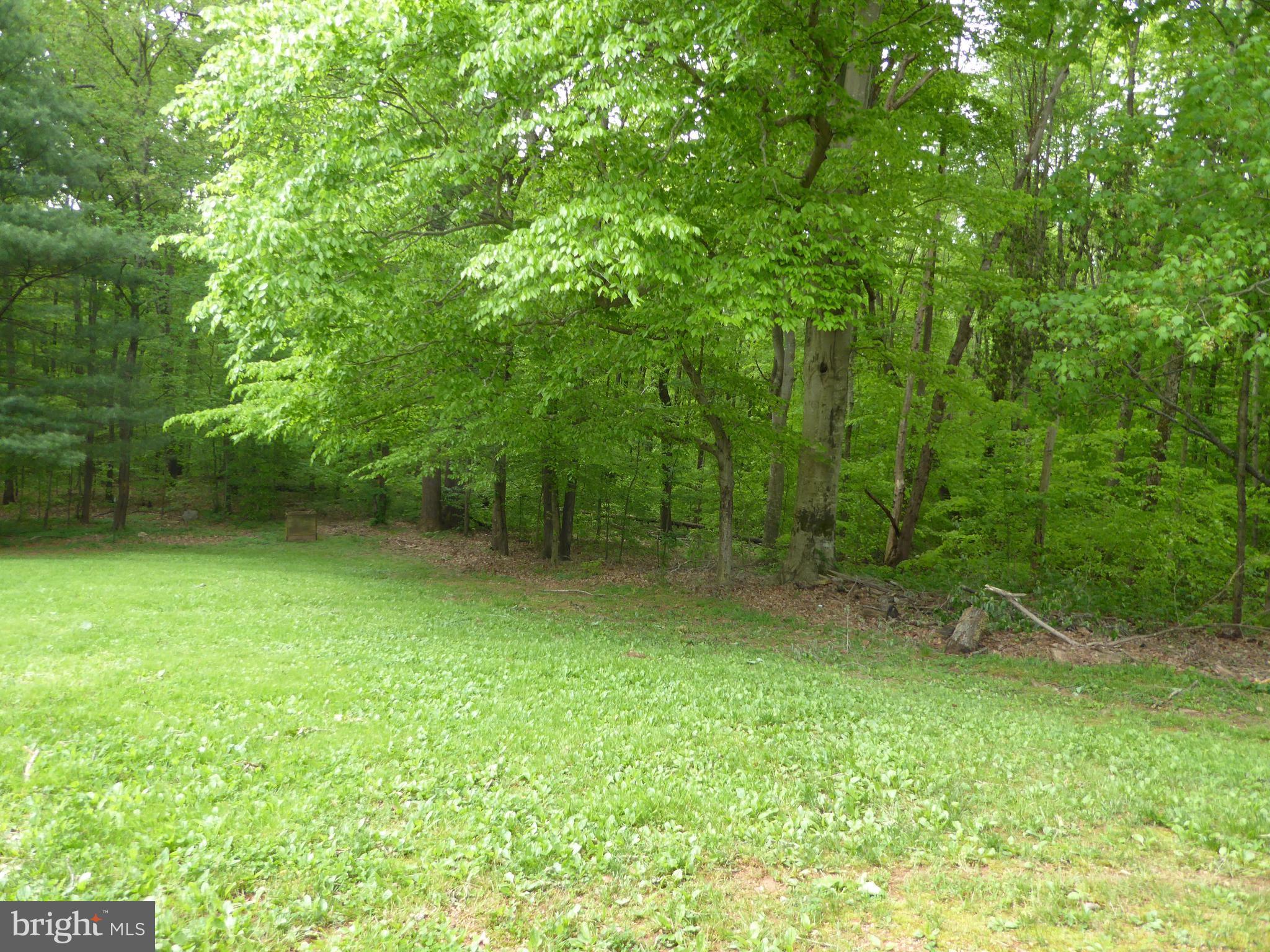 6223 Sumerduck Road Remington, VA 22734 - Photo 5 of 19 Lovely yard backs to park