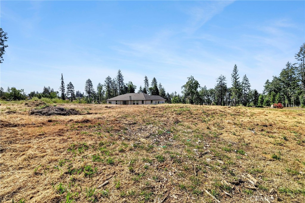 1029 Wagstaff Road Paradise, CA 95969 - Photo 10 of 41