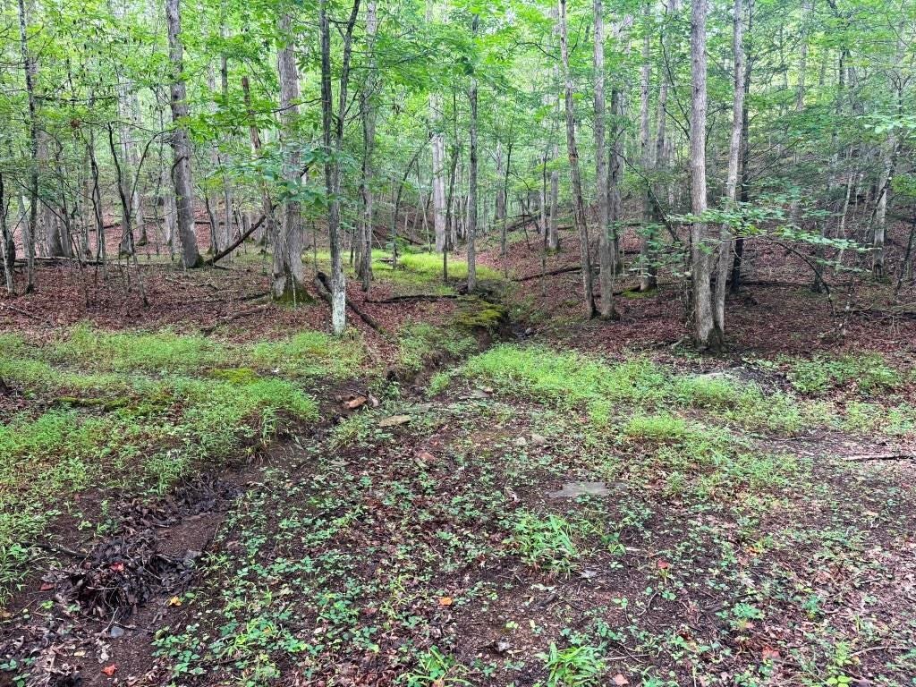 2543 Crawfish Road, Unit 2A & 4A Rural Retreat, VA 24368 - Photo 21 of 34 Gallery Image 21