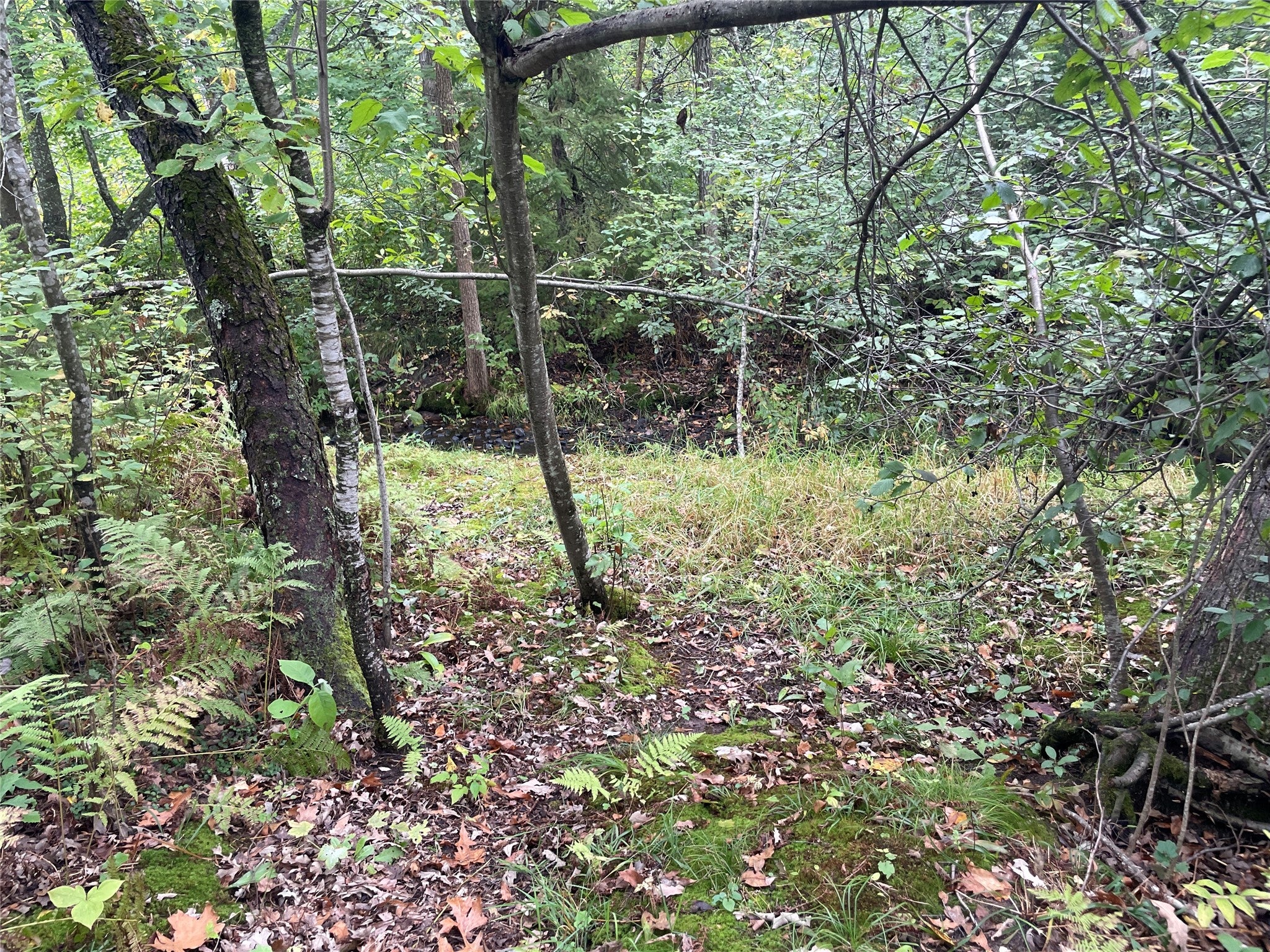 N8644 Lumbard Lane Springbrook, WI 54875 - Photo 31 of 32 Gallery Image 31