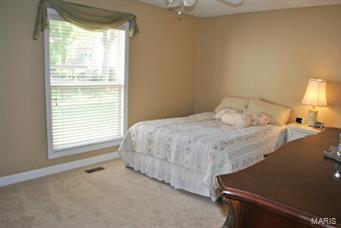 2314 Blue Hill Road Chesterfield, MO 63017 - Photo 13 of 23 Gallery Image 13