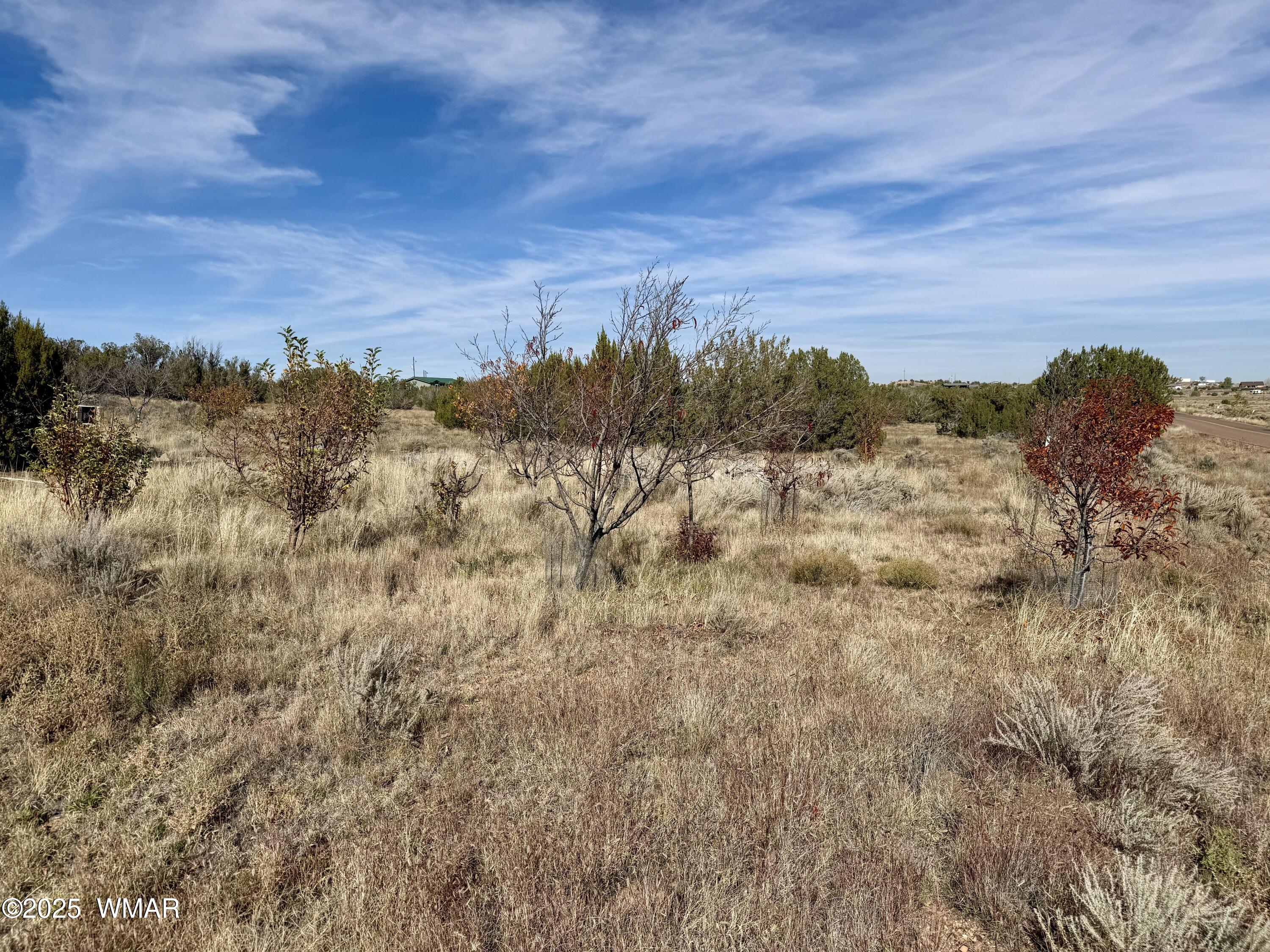 3920 Freeman Hollow Snowflake, AZ 85937 - Photo 1 of 3 a view of a city