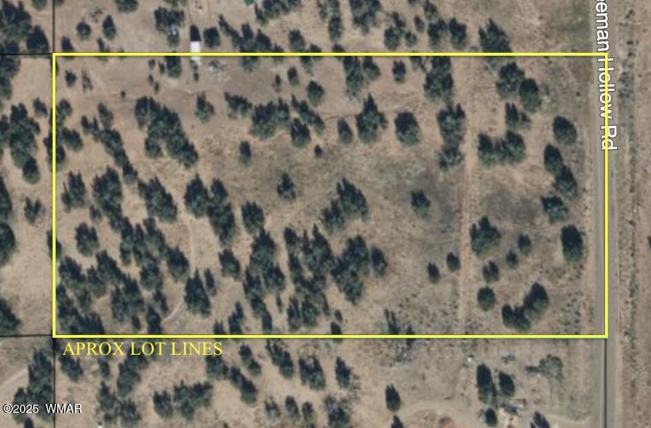 3920 Freeman Hollow Snowflake, AZ 85937 - Photo 3 of 3