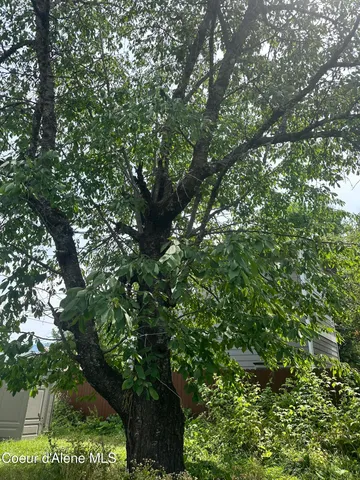 $424,999 | 329 South Florence Avenue, Sandpoint, ID 83864