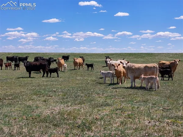 $697,500 | 18497 County Road 197, Limon, CO 80828