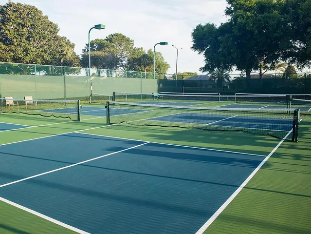 a view of a tennis ground with a large trees