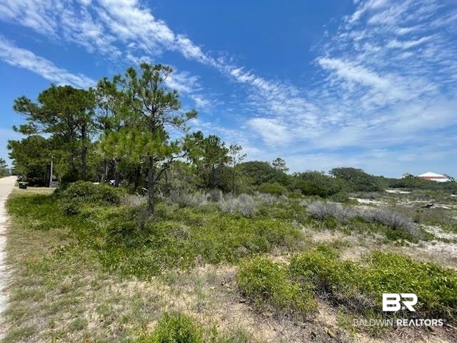0 Veterans Road Gulf Shores, AL 36542 - Photo 5 of 7