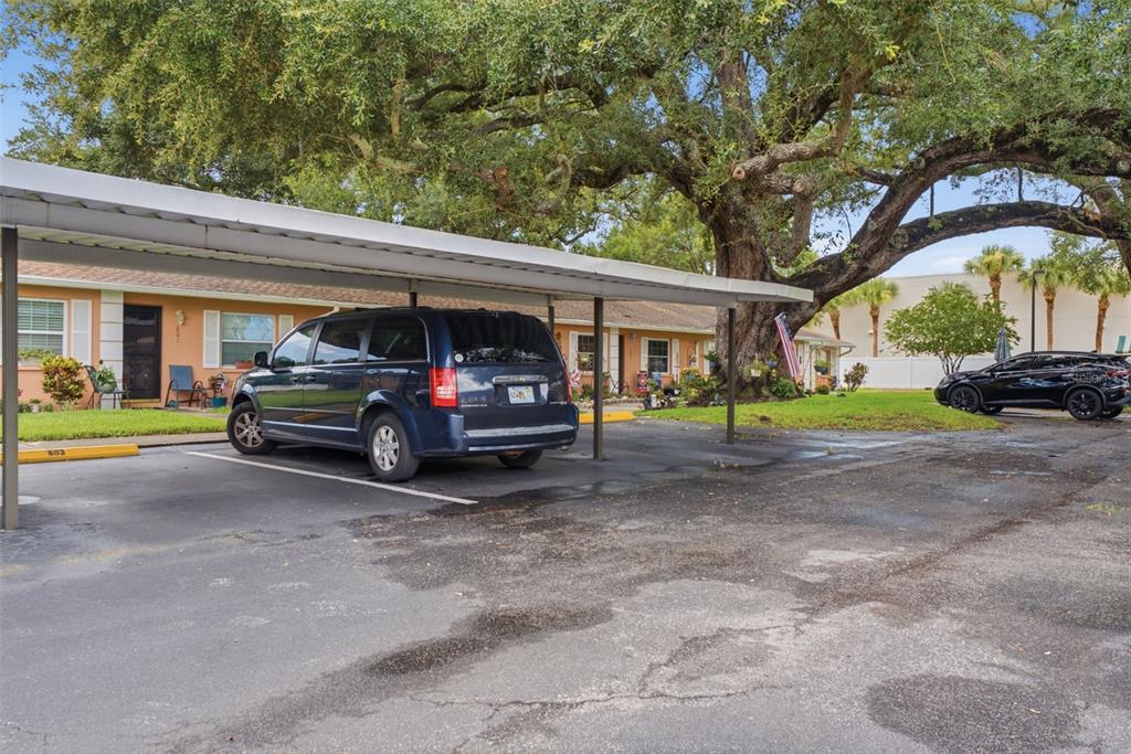 2250 Druid Road, Unit 603 Clearwater, FL 33764 - Photo 35 of 42