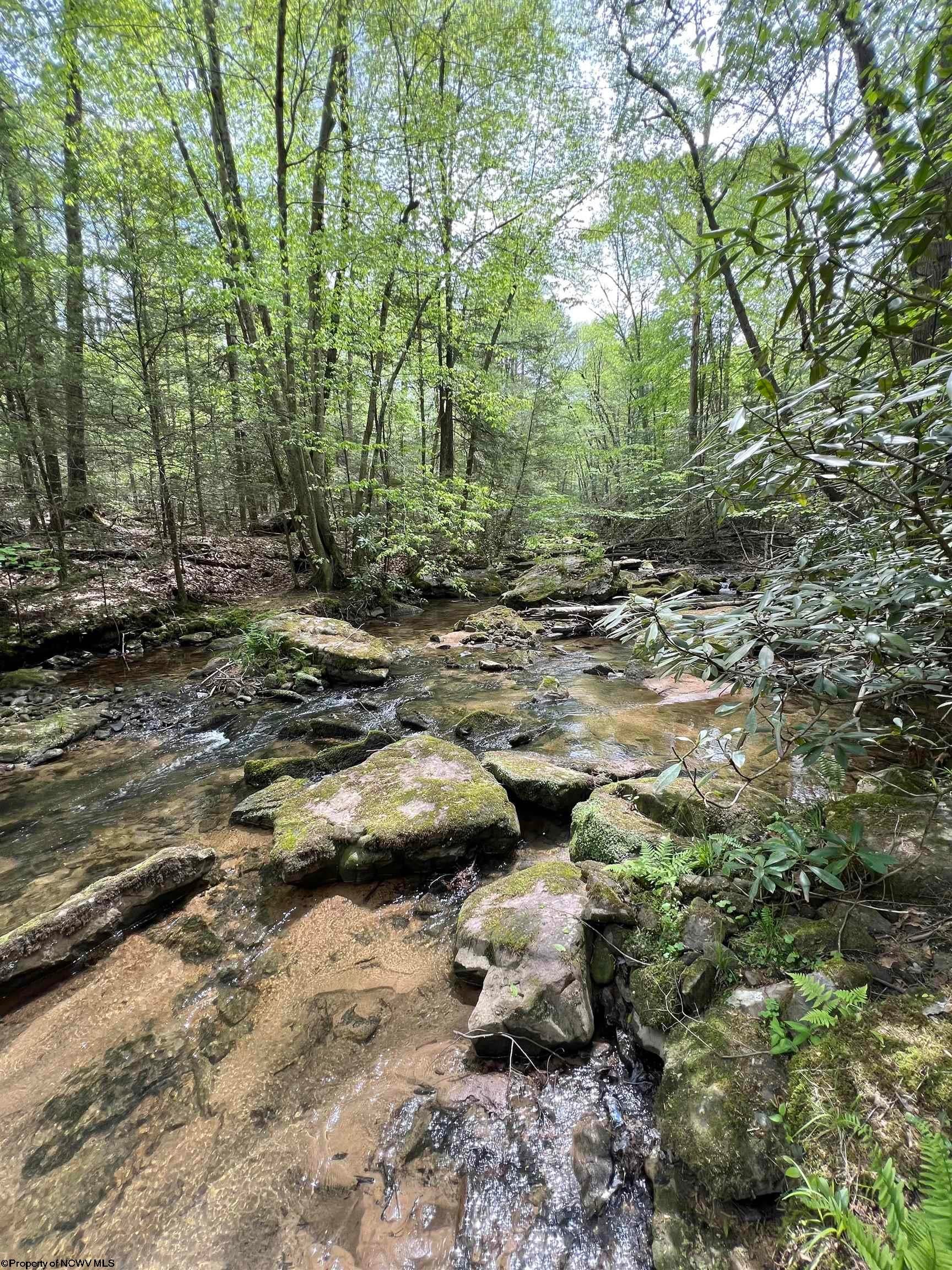 1209 Gaines Road Rock Cave, WV 26234 - Photo 46 of 50 Gallery Image 46