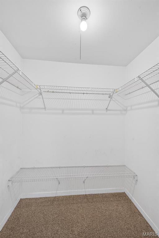 741 Ridgeside Drive, Unit B Ballwin, MO 63021 - Photo 20 of 37