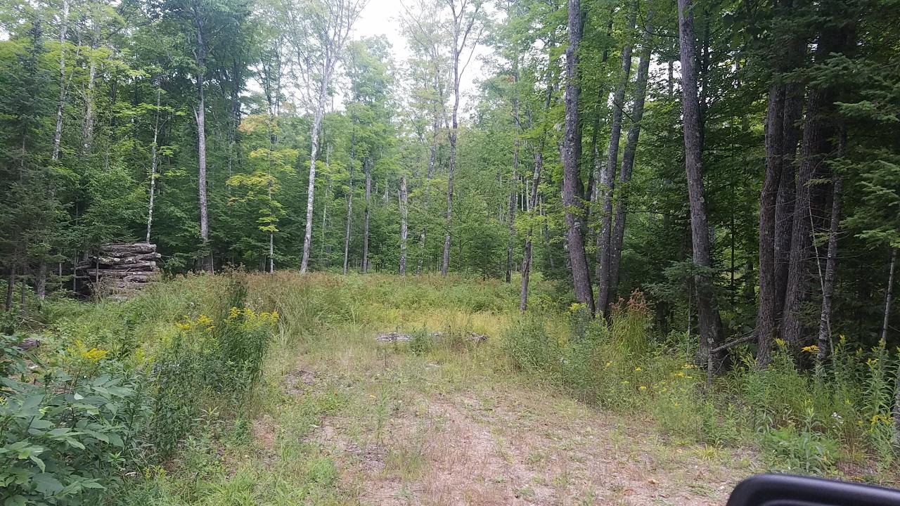 1-2 Sugar Maple Road, Unit LOTS Phelps, WI 54554 - Photo 1 of 4 Gallery Image 1