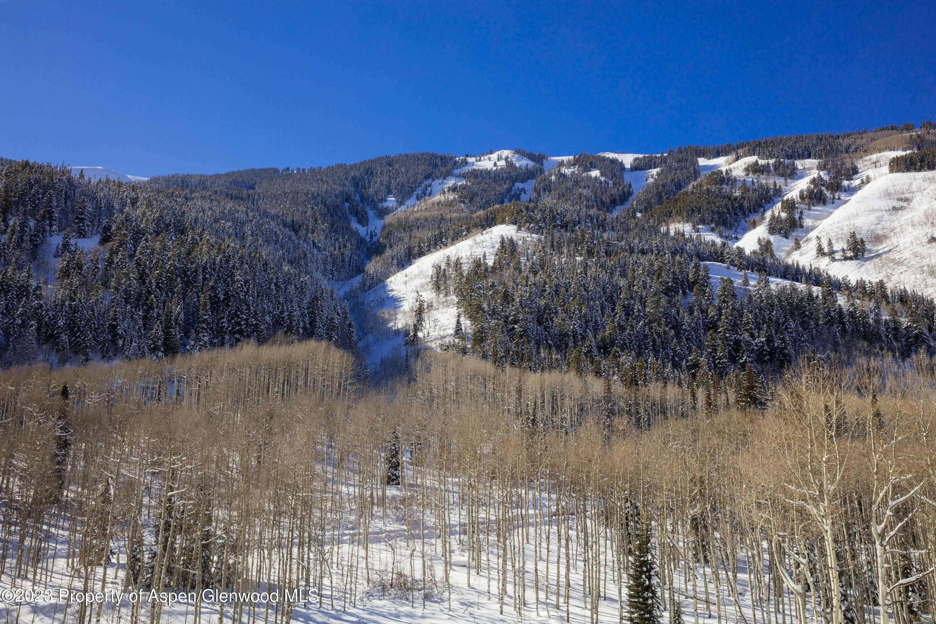 640 South Hayden Road Aspen, CO 81611 - Photo 31 of 42 16a