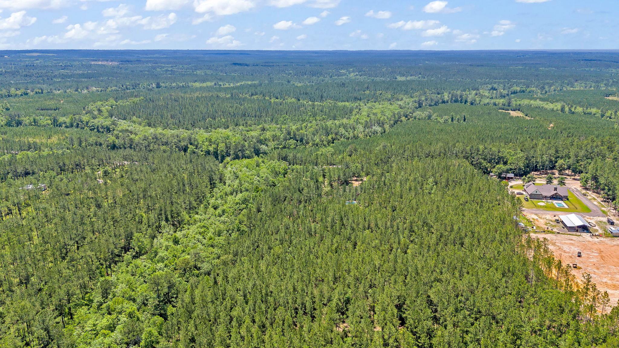 12449 Maytower Road Stockton, AL 36579 - Photo 25 of 70 Aerial View