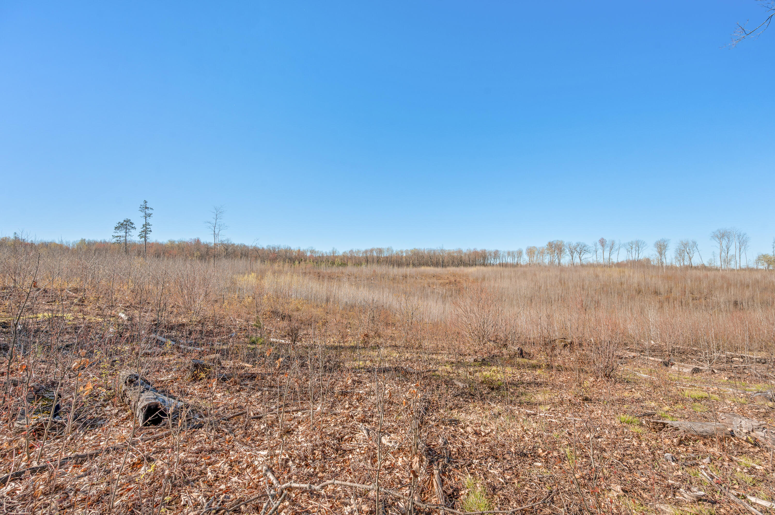 16107 12 Mile Road Leroy, MI 49655 - Photo 34 of 40 16107-12MileRd-Leroy-31