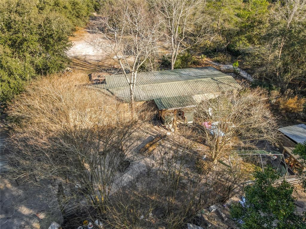 43430 Cooter Pond Road DeLand, FL 32720 - Photo 24 of 37 a view of yard covered with green space