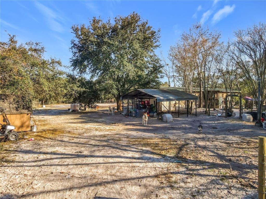 43430 Cooter Pond Road DeLand, FL 32720 - Photo 25 of 37 a view of street with trees