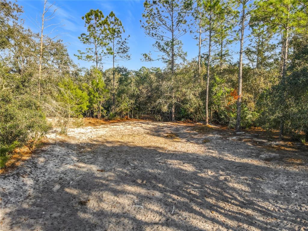 43430 Cooter Pond Road DeLand, FL 32720 - Photo 31 of 37 a view of wall with trees