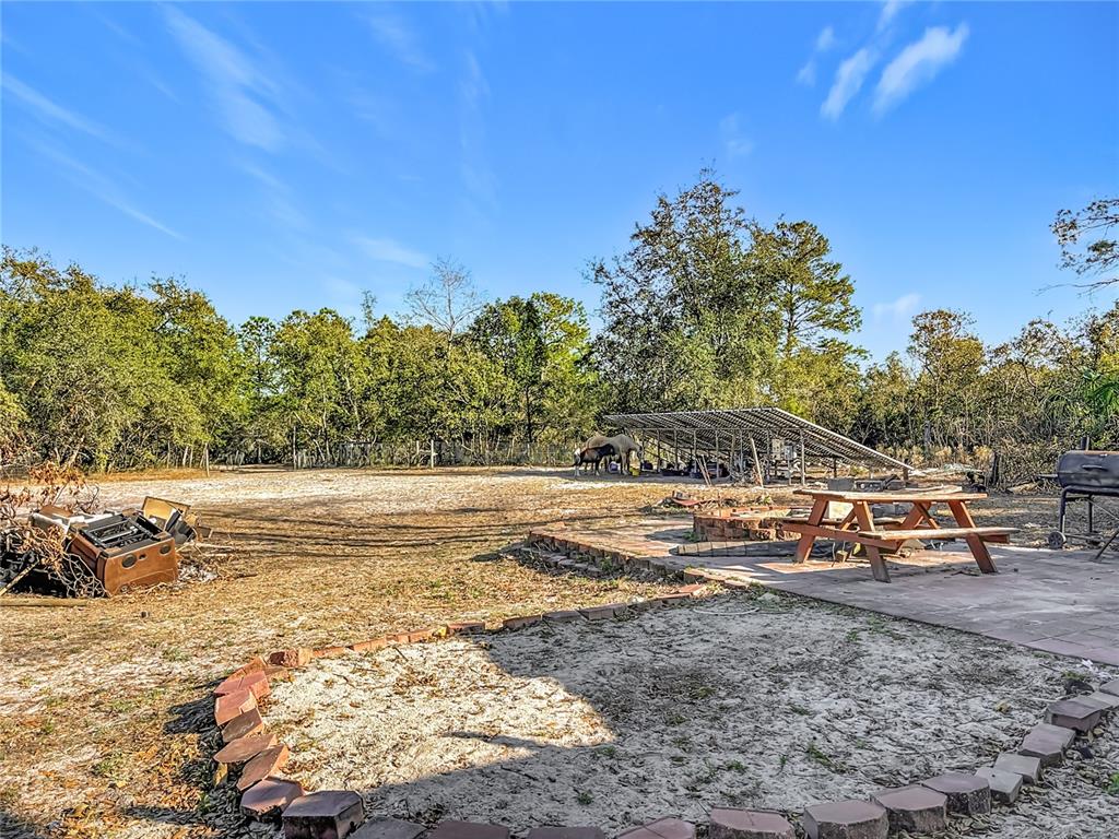 43430 Cooter Pond Road DeLand, FL 32720 - Photo 32 of 37 a view of lake with trees around