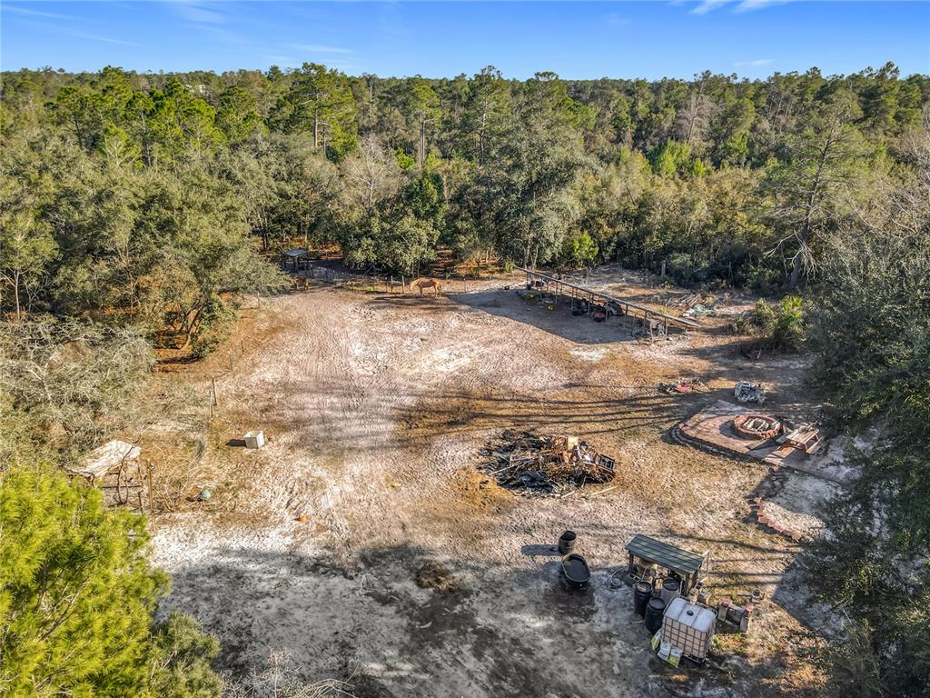 43430 Cooter Pond Road DeLand, FL 32720 - Photo 35 of 37 a view of a forest with a mountain