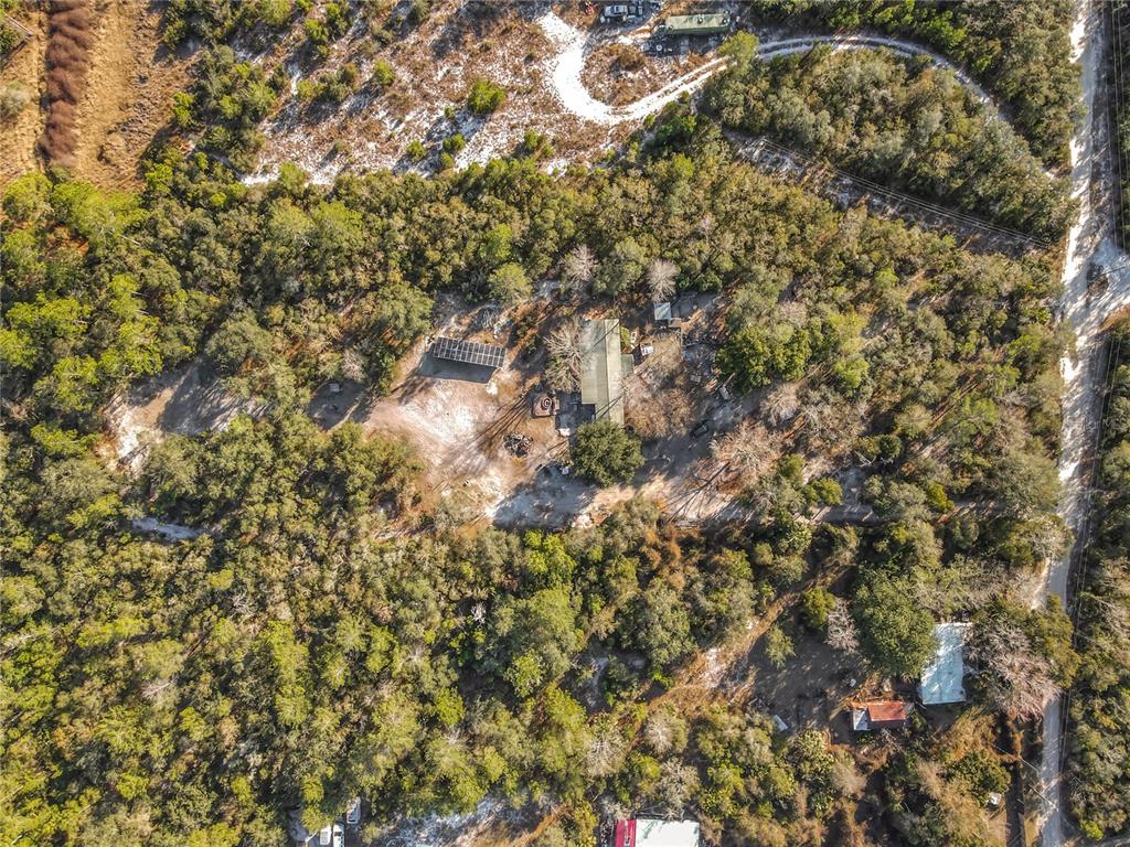 43430 Cooter Pond Road DeLand, FL 32720 - Photo 37 of 37 a view of a tree